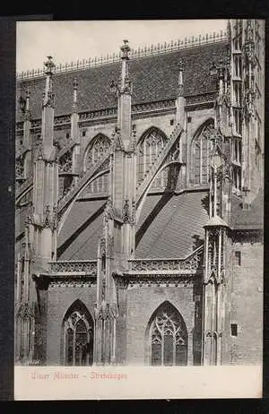 Ulm. Münster Strebebogen