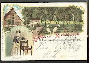 Kirschenlande. "Altländer Braut"in Nationaltracht