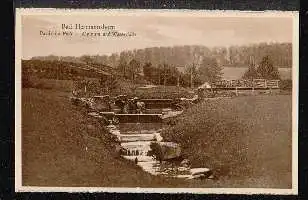 Bad Hermannsborn. Partie im Park Alpinum und Wasserfälle