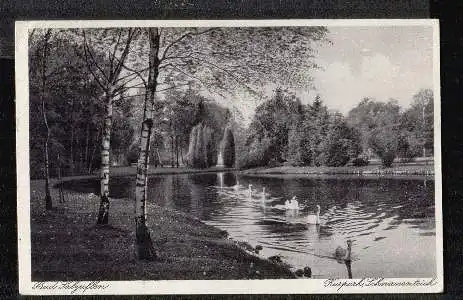 Bad Salzuflen. Kurpark. Schwanenteich