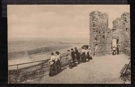 Am Rhein. Blick vom Drachenfels