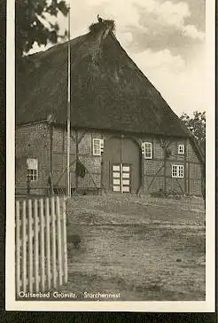 Grömitz. Ostseebad. Storchennest