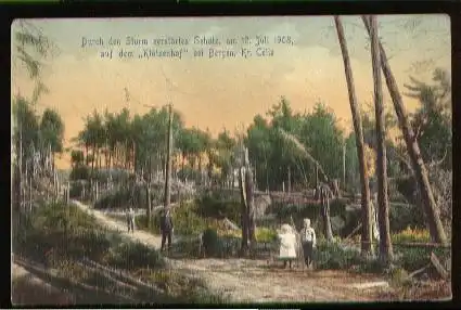 Bergen. Durch den Sturm zerstörtes Gehölz 1908