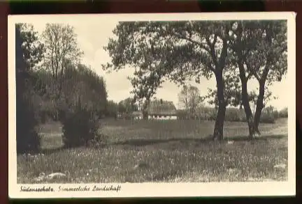 Südenseeholz. Sommerliche Landschaft