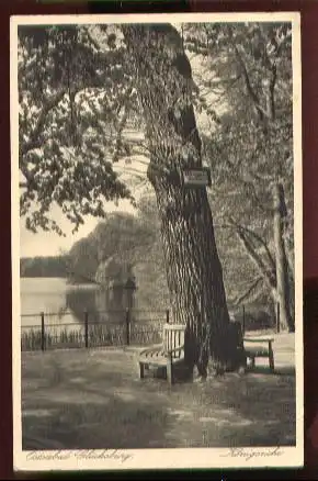 Glücksburg. Ostseebad. Königseiche