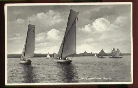 Flensburger Förde. Regatta