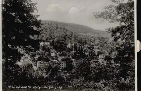 Bad Harzburg. Blick auf die Rabenklippen und Eckertal