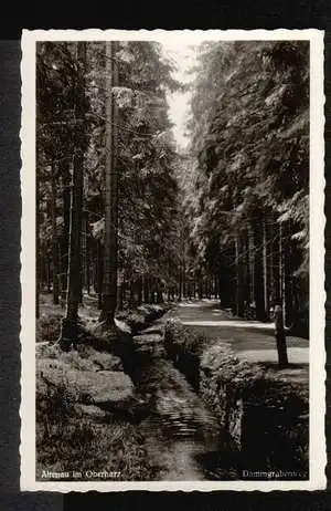 Altenau im Oberharz. Dammgrabenweg