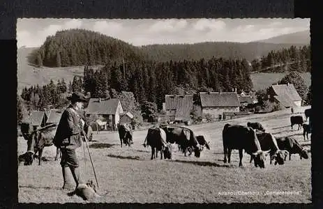 Altenau. Oberharz. Damenkapelle