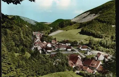 Sieber. Südharz. Höhenluftkurort. Unterer Sieberblick