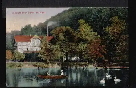 Wiesenbeker Teich im Harz