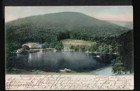 Bad Lauterberg im Harz. Wiesenbeeker Teich