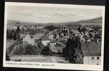 Eschershausen. Heimat Wilhelm Raabes, Gesamtansicht