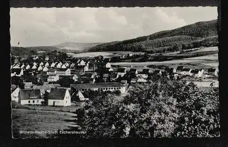 Eschershausen. Wilhelm Raabe Stadt