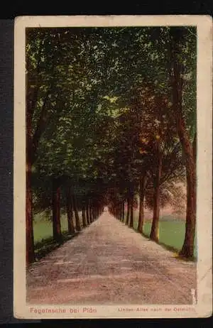 Plön. Fegetasche bei P. Lindenallee nach der Oelmühle