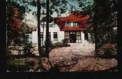 Vareler Wald. Gruss von der "Deutschen Eiche"