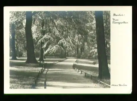 Berlin. Zum Tiergarten