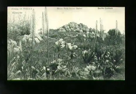 Berlin. Dahlem. Neuer Botanischer Garten