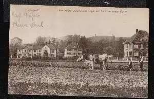 Bayreuth. Villen an der Nibelungen Str. mit Blick zur hohen Warte