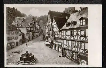 Miltenberg. Schnatterloch