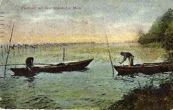 Fischerei auf dem Steinhuder Meer