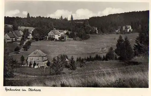 Hohnenklee Bockswiese im Oberharz