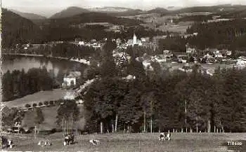 Titisee.