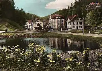 x00997; Bad Rippoldsau / Schwarzwald. Luitgardstift.