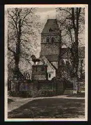 x01262; Ratzeburg. Dom, Sudansicht mit Löwen.