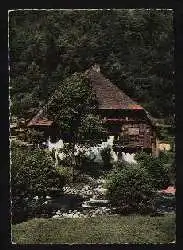 x01821; Schwarzwaidhaus.