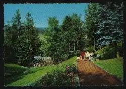 x01875; Baiersbronn Schwarzwald. Konzertpavillon mit Kurpark.