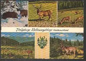 x02348; Rinseck. Hochsauerland. Freigehege Rothaargebirge.