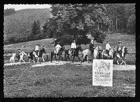 x02357; Riefensbeek. Das Pony und Kleinpferd Paradies.