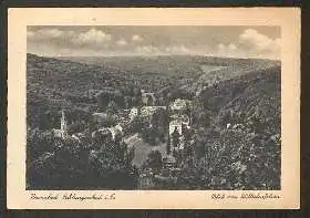 x02376; Schlangenbad Nervenbad. Blick vom Wilhelmfelsein.