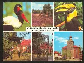 x02561; Walsrode. Lüneburger Heide mit Vogelpark.