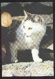 x02613; Katze.