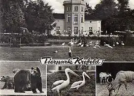 x03204; Krefeld. Tierpark.