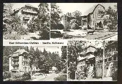 x03528; Bad Schandau. Ostrau.