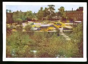 x03848; Hamburg. Internationale Gartenbau Ausstellung: Dahlienhügel im botanischen Garten.