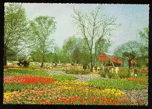 x03851; Hamburg. Internationale Gartenbau Ausstellung: Tulpenpracht am Tropenhaus.