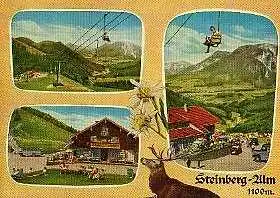x04417; Ruhpolding. Steinber Alm..