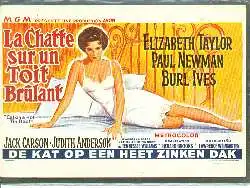 x05270; LA CHATTE SUR UN TOIT BRULANT. Realisateur Richard Brooks avec Elizabeth Taylor, Paul Newman, Burl Ives.