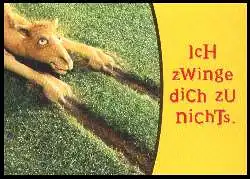 x05468; Ich zwinge dich zu nichts. Camel.