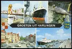 x05569; Harlingen, Groeten uit.