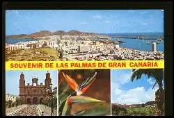 x05571; Gran Canaria, Souvenir de las Palmas.