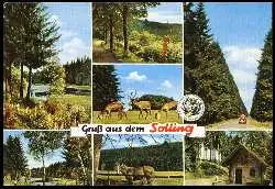 x05689; Solling, Gruss aus dem.