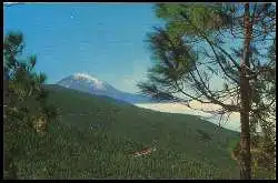 x05693; Tenerife. El teide entre el verdor de los pinares.