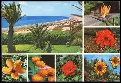x05711; Gran Canaria. Playa del Ingles.