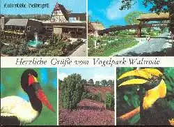 x06159; Herzliche Grüsse vom Vogelpark Walsrode.
