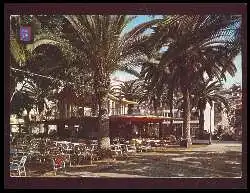 x06207; PUERTO DE LA CRUZ. Place du Charco.